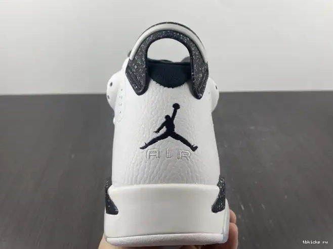 Reps TB Jordan Oreo Retro 6 384664-101 0614